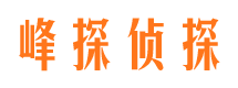 青田资产调查